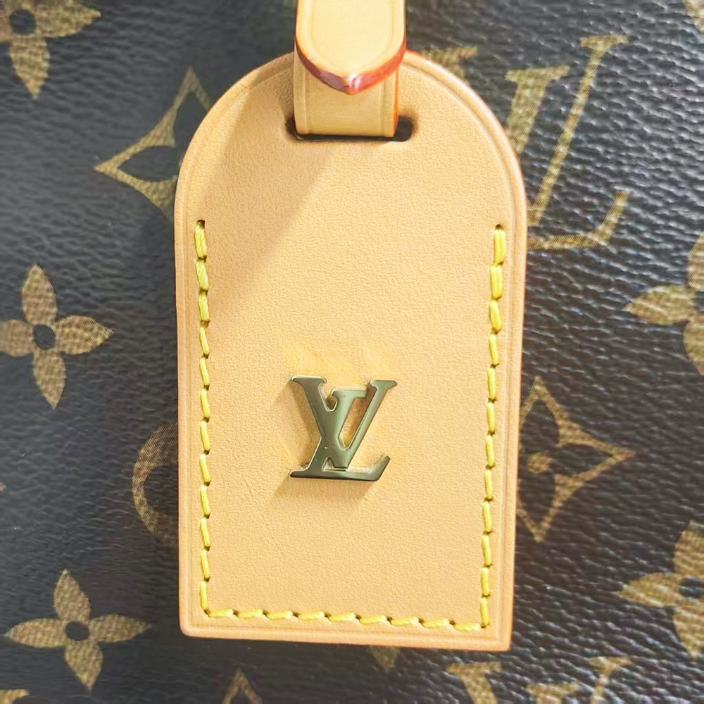 Louis Vuitton Monogram Canvas Carryall PM Bag - Picture 3 of 12